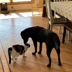 Meet your Posher, Amy